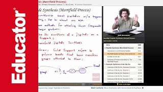 Peptide Synthesis Merrifield Process  Biochemistry Tutorial [upl. by Mohkos]