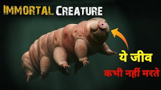 ऐसे जीव जो अमर है जिन्हें कोइ नहीं मार सकता है  Immortal Animals that never dies [upl. by Mendive25]