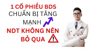 VIDEO QUAN TRỌNG  1 CỔ PHIẾU BDS CHUẨN BỊ TĂNG MẠNH  NDT KHÔNG NÊN BỎ QUA TRONG THÁNG 9 NÀY [upl. by Pavlish]