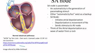 EKG introduction Dubin Chapter 1 [upl. by Hterrag]