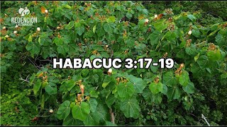 Habacuc 31719 Cantico [upl. by Enimsay]