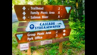 Arrive  Resort amp visit Wildwood State Park Welches OR Our Life salmon hike mushrooms rainyday [upl. by Llyrat]