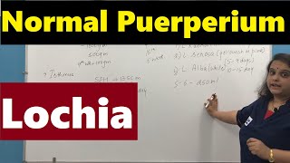 Normal Puerperium  Lochia  Involution  Nursing Lecture [upl. by Annah]