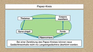 Modul 5 Lektion 244 Anatomie das Myelon PNS Papez Kreis und limbisches System [upl. by Herbst603]