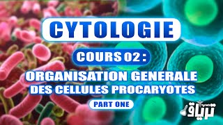 CYTOLOGIE 1ère année  Organisation Générale de la Cellule Procaryote  Partie1 [upl. by Emmalee]