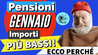 PENSIONI GENNAIO 2024 👉 IMPORTO PIÙ BASSO sul CEDOLINO❓ Ecco perché [upl. by Eitsud]