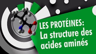 Structures des acides aminés  Les proteines 14 [upl. by Nevai]