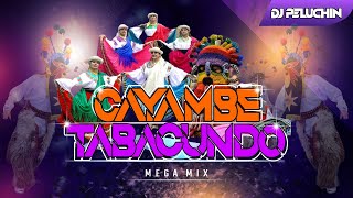 Musica Cayambeña  Los Duros de Tabacundo Mix para bailar djpeluchin [upl. by Nylorak995]