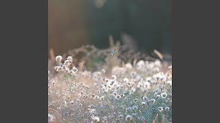 CirsiUm CirsiUm [upl. by Elad]