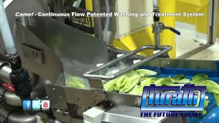 Continuous flow Patented Washing and Treatment system Mod Camel Whole Romaine by Turatti [upl. by Arimat]