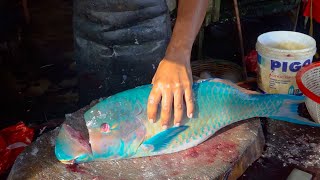 WARNING🔥🔥  THE FEARLESS CUTTING OF RARE FISH THE ACEHNESE FISH MARKET IN 2024 [upl. by Swanhildas373]