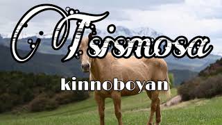 Tsismosa Igorot Song  Kinoboyan [upl. by Goober884]