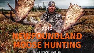 Moose Hunting Newfoundland Canada [upl. by Roxanne63]