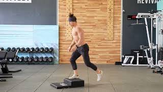 Alternating Lunge Box Jumps [upl. by Dace]