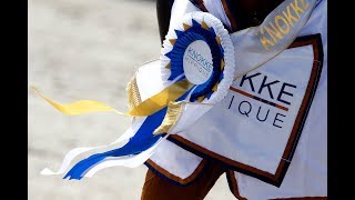 Knokke Hippique 2017 Aftermovie [upl. by Tobin]