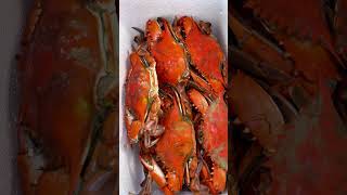 Crabs Delivered from CrabPlacecom to Florida crabs seafood 4thofjuly memorialday veteransday [upl. by Rosalee263]