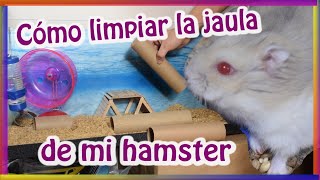 Cómo limpiar la jaula de mi hamster [upl. by Bonnes]