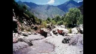 ParaChinar SONG  JAWARY KURMY TA NASEEB RAWALY YAM [upl. by Mailiw]