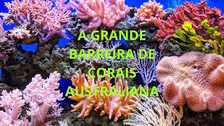 A GRANDE BARREIRA DE CORAIS AUSTRALIANA Curiosidade a barreira de corais da Austrália [upl. by Pack]