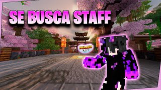 ✔️ SE BUSCA STAFF PARA SERVIDOR DE MINECRAFT SURVIVAL CUSTOM  MELLOWCRAFT ☁️ [upl. by Annauqal864]