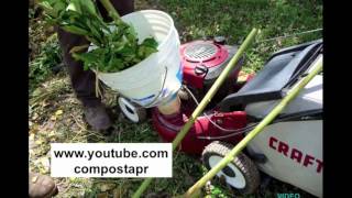 24 Home Composting [upl. by Hamlet]