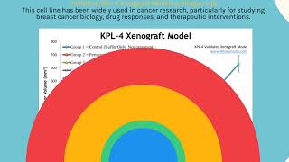 KPL4 Xenograft Model [upl. by Adirem]