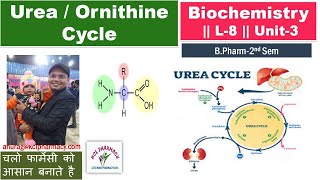 Urea Cycle Ornithine Cycle  L8 Unit3 Biochemistry [upl. by Rehpotisrhc]