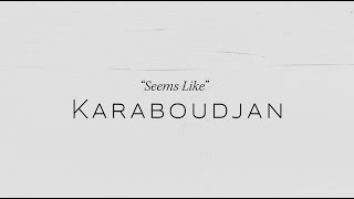 Karaboudjan  Seems Like Official Video [upl. by Eppesiug51]