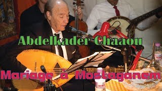 Abdelkader Chaou à Mostaganem mariage Amine Haouki [upl. by Nnahaid]