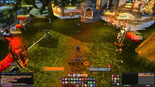 Feral Druid PvP UI and Addons World of Warcraft 43 [upl. by Yrrehs817]