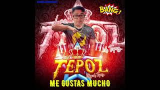 💥Los Tepoz 💥Me Gustas Mucho 💥 [upl. by Anirtap]