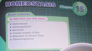 Function of nephronKidney XII biology chap 1 new STB mdcattest biology mdcattest [upl. by Toby36]