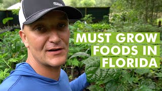 10 Top Plants for a Food Garden in Subtropical Climates Florida Gardening [upl. by Levin]