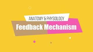 Anatomy amp Physiology 13 Negative and Positive Feedback Mechanism of Endocrine System HINDI [upl. by Sou]