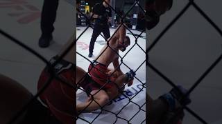 Arlind Berisha SMASHES opponent with ELBOWS 😱 [upl. by Nesmat]