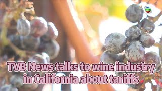 TVB News  31 Oct 2024  TVB News talks to wine industry in California about tariffs [upl. by Amsed]