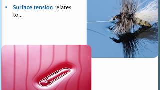 CHEMISTRY 101  Effects of intermolecular forces on surface tension viscosity and capillary action [upl. by Faso314]