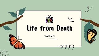 Life From Death  Suffering KKTV [upl. by Stulin]