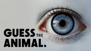 Can You Identify the Animal by Its EYES [upl. by Nayt]