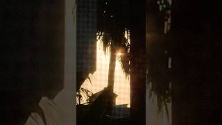 🙏 Sunrise 🌄 through my window 🪟sunrise windows sun shortvideo short [upl. by Eimrots]