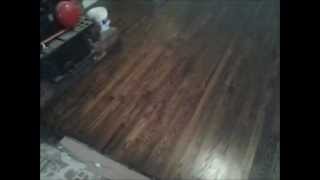 Red Oak Stained Jacobean after  Hardwood Floor Refinishing Charlotte NC [upl. by Namie]