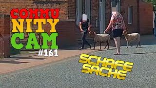 MITTELFINGER gezeigt amp SCHAFE auf freiem Fuß  Community Cam Folge 161 [upl. by Iggie42]