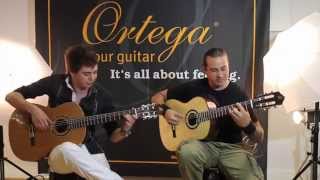 Aces High Iron Maiden Acoustic  Thomas Zwijsen amp Ben Woods  Master Guitar Tour [upl. by Kcod]