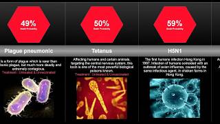 Probability Comparison Deadliest Viruses And Diseases [upl. by Wycoff123]