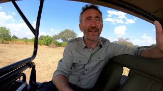 Where to go on your first safari to Africa [upl. by Robers]