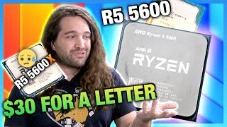 AMD Ryzen 5 5600 vs i512400 amp 5600X CPU Review amp Benchmarks [upl. by Enelam718]