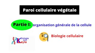 Paroi cellulaire végétale [upl. by Droffig]