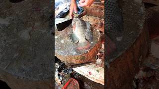 Incredible Tilapia Fish Cutting Skills In Bangladesh Local Fish Market😱 shorts [upl. by Niram804]