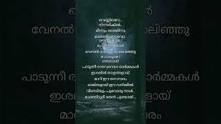 vennilave song lyrics malayalam shortvideo status viral lyrics [upl. by Eehtomit110]