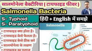 Salmonella Bacteria  Typhoid  Enteric Fever Typhoid Fever Paratyphoid Fever Widal Test in hindi [upl. by Richer]